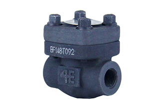 4E 800# A105 Forged Steel Swing & Piston Check Valve