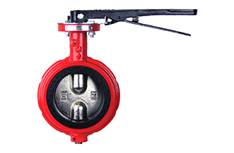 4E 125# IS200 Ductile Iron Wafer Notched Style Butterfly Valve (Industrial)