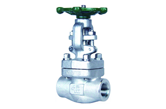 4E 800# Forged Stainless Steel Gate Valve