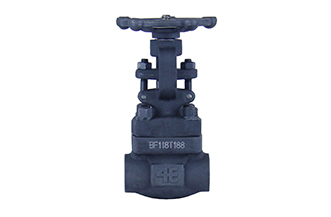 4E 800# A105 Forged Steel Gate Valve