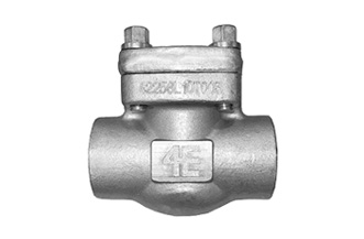 4E 800# Forged Stainless Steel Swing & Piston Check Valve