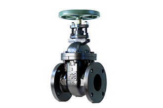 4E 125# IBBM NRS Cast Iron Gate Valve