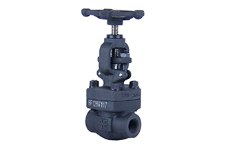 4E 800# A105 Forged Steel Globe Valve