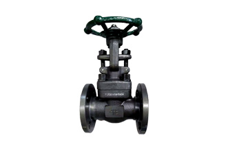 4E 150# A105 OS&Y Gate Valve Raised Flange