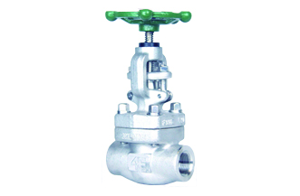 4E 800# Forged Stainless Steel Globe Valve